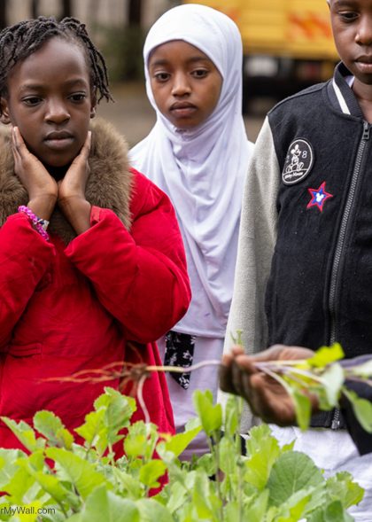 A New Design (1) - Made with PosterMyWall